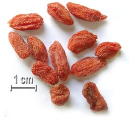 Baies de Goji du Tibet, séchées